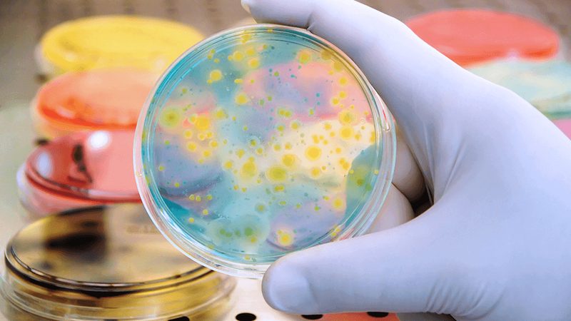 生物医药外包项目管理办法：实施要点全解析