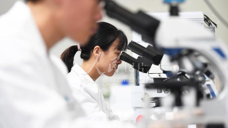 抗体亲和力测定实验参数设置的要点解析**