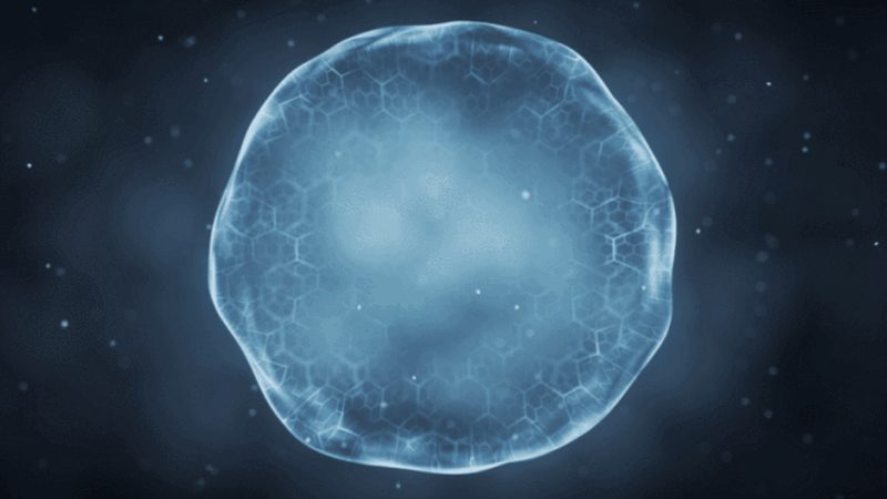 小分子CDMO：揭秘药物研发背后的“隐形功臣