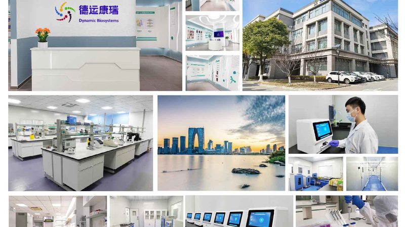 基因解码，了解你的生命密码——成都个人基因测序服务解析**