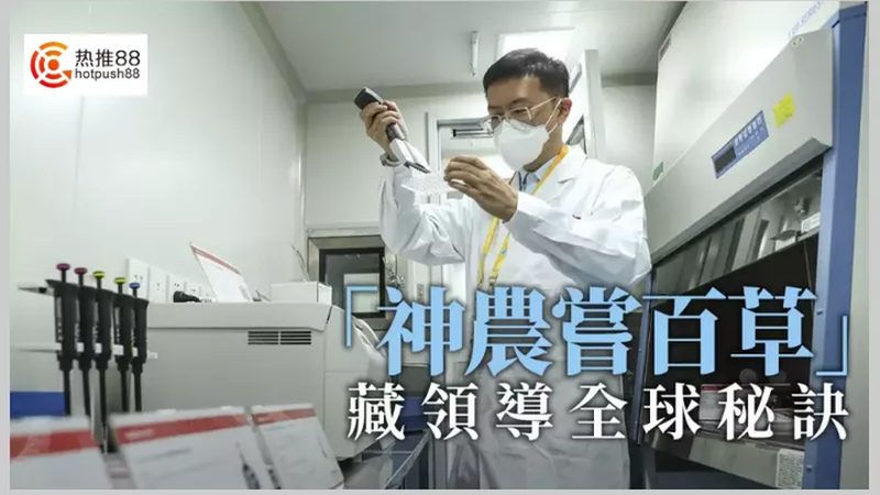 培养基在细胞培养中的应用与细胞类型选择**