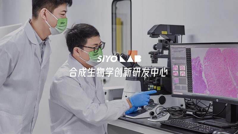 运动基因检测：揭秘其靠谱背后的科学**