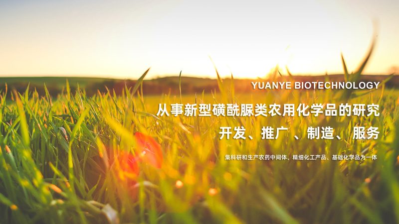单克隆抗体：生物制品分类解析**