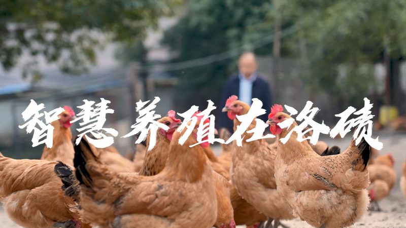 在市场上，生物试剂保存柜品牌众多，以下是一些知名品牌及型号：