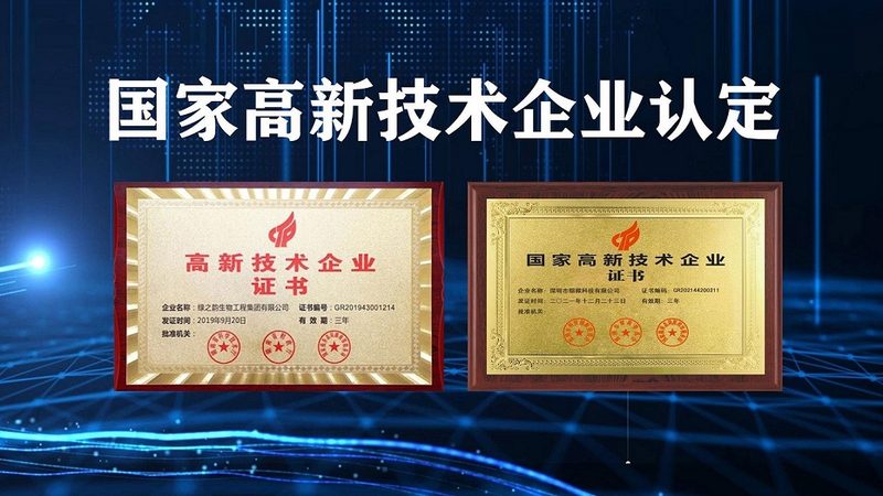 CDMO代工：揭秘医药研发背后的“隐形英雄