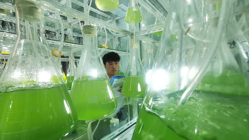 国产实验室耗材哪家好